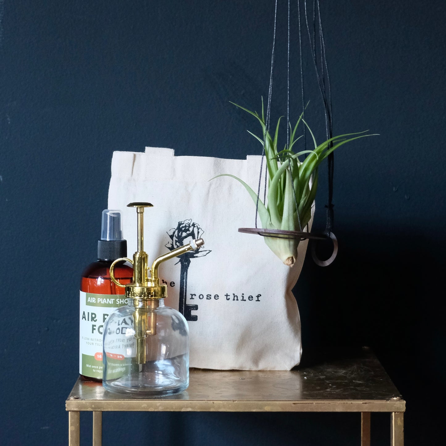 Hanging Air Plant Set