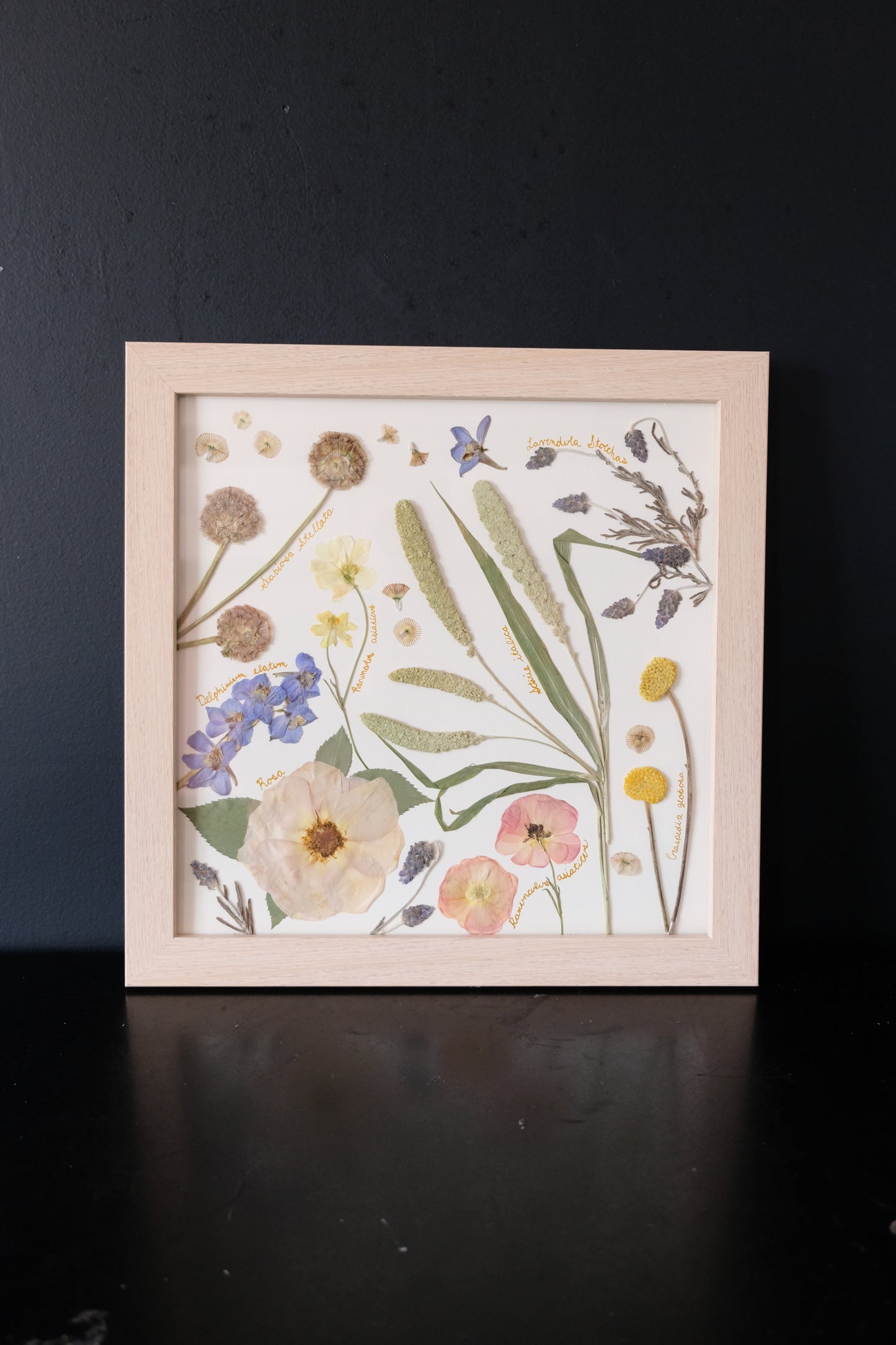 Pressed Flower Art