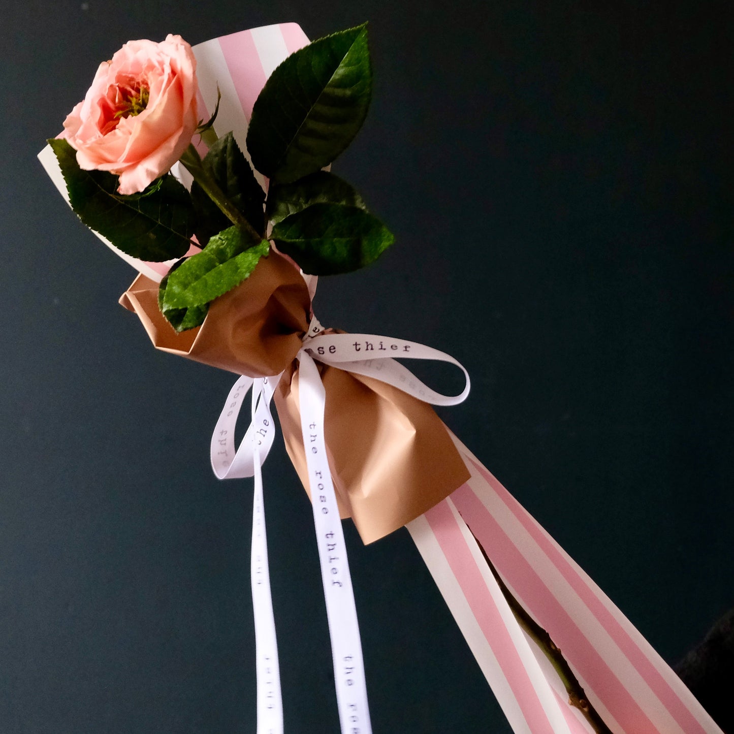 Single Rose