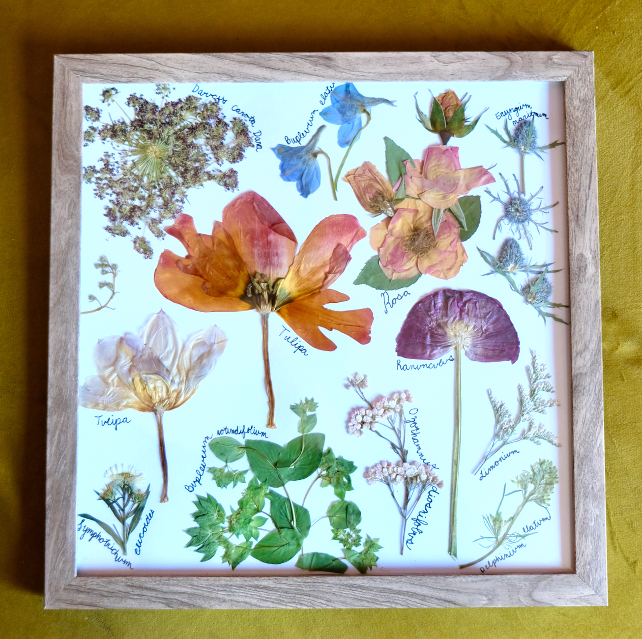 Pressed Flower Art