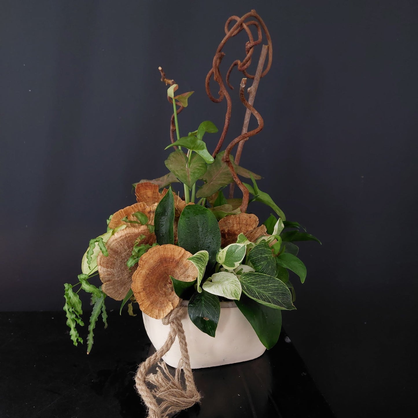 Mixed Indoor Planter