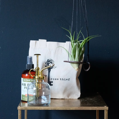 Hanging Air Plant Set