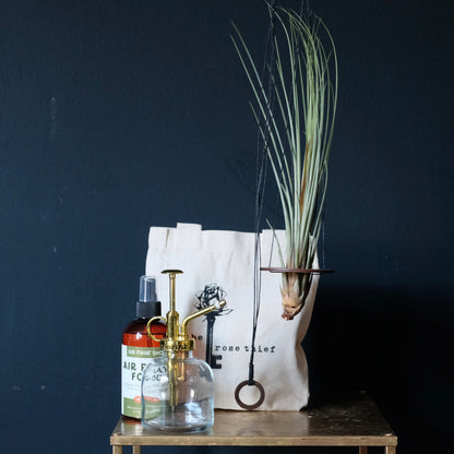 Hanging Air Plant Set