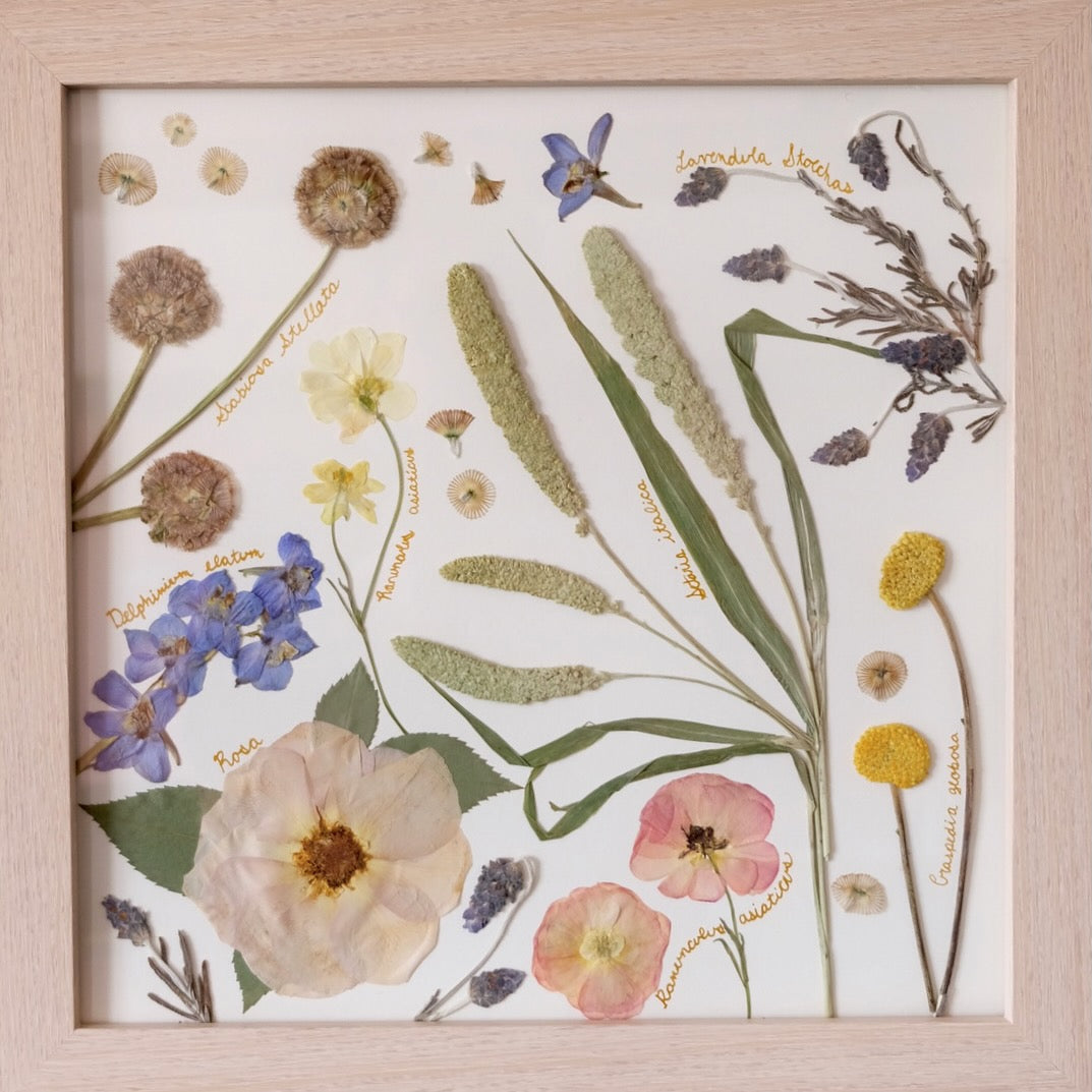 Pressed Flower Art