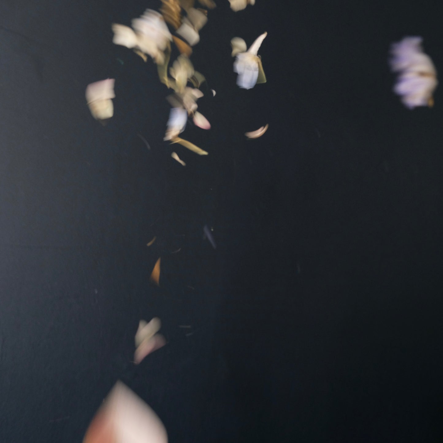 Dried Flower Confetti Cones