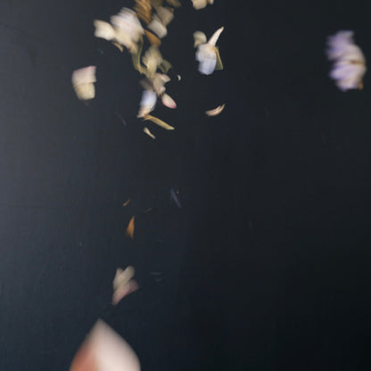 Dried Flower Confetti Cones