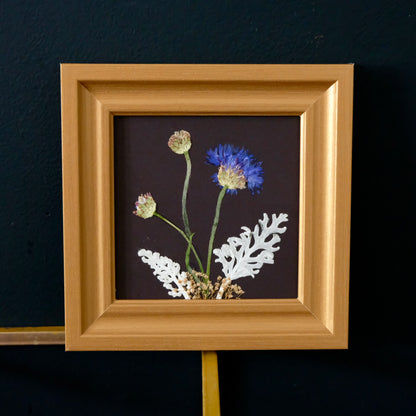 Pressed Flower Art